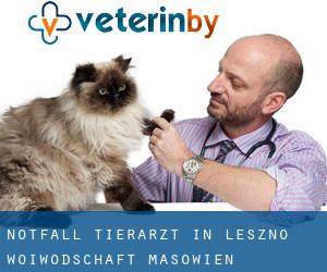 Notfall Tierarzt in Leszno (Woiwodschaft Masowien)