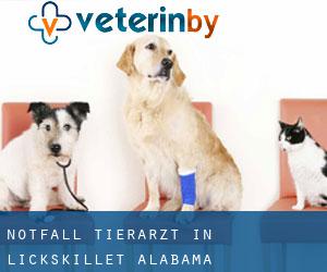 Notfall Tierarzt in Lickskillet (Alabama)