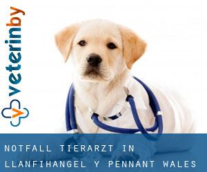Notfall Tierarzt in Llanfihangel-y-Pennant (Wales)