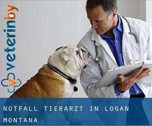 Notfall Tierarzt in Logan (Montana)