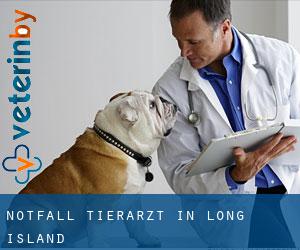 Notfall Tierarzt in Long Island
