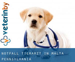 Notfall Tierarzt in Malta (Pennsylvania) Notfall Tierarzt in Malta (Pennsylvania)