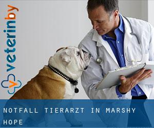 Notfall Tierarzt in Marshy Hope