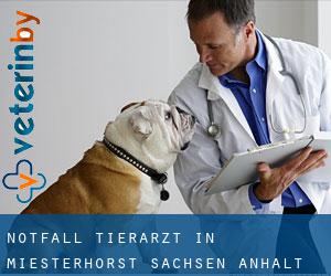 Notfall Tierarzt in Miesterhorst (Sachsen-Anhalt)