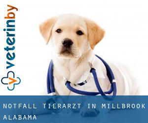 Notfall Tierarzt in Millbrook (Alabama) Notfall Tierarzt in Millbrook (Alabama)