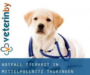 Notfall Tierarzt in Mittelpöllnitz (Thüringen)