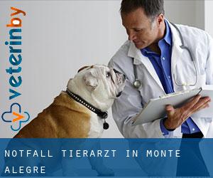 Notfall Tierarzt in Monte Alegre