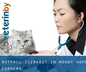 Notfall Tierarzt in Mount Hope Corners