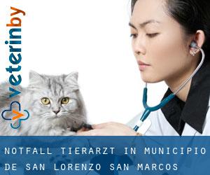 Notfall Tierarzt in Municipio de San Lorenzo (San Marcos)