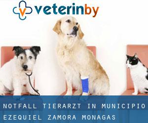 Notfall Tierarzt in Municipio Ezequiel Zamora (Monagas)
