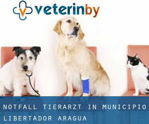 Notfall Tierarzt in Municipio Libertador (Aragua)