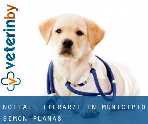 Notfall Tierarzt in Municipio Simón Planas Notfall Tierarzt in Municipio Simón Planas