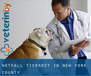 Notfall Tierarzt in New York County