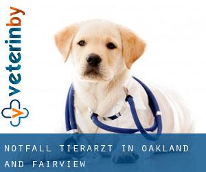 Notfall Tierarzt in Oakland and Fairview