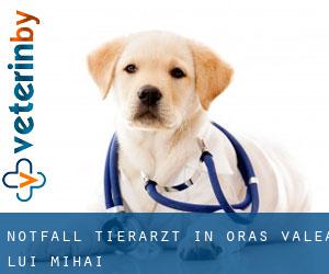 Notfall Tierarzt in Oraş Valea Lui Mihai Notfall Tierarzt in Oraş Valea Lui Mihai
