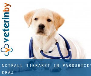 Notfall Tierarzt in Pardubický Kraj Notfall Tierarzt in Pardubický Kraj