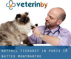 Notfall Tierarzt in Paris 18 Buttes-Montmartre