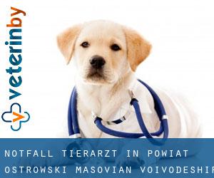 Notfall Tierarzt in Powiat ostrowski (Masovian Voivodeship)