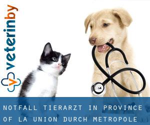 Notfall Tierarzt in Province of La Union durch metropole - Seite 1