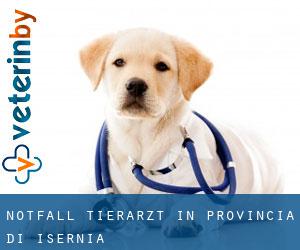 Notfall Tierarzt in Provincia di Isernia