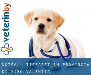 Notfall Tierarzt in Provincia di Vibo-Valentia