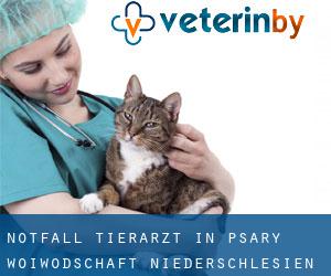 Notfall Tierarzt in Psary (Woiwodschaft Niederschlesien)