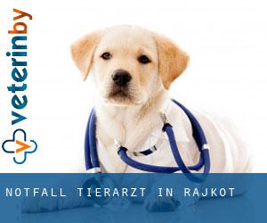 Notfall Tierarzt in Rajkot Notfall Tierarzt in Rajkot