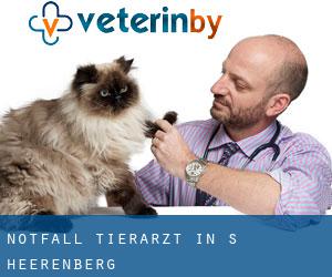 Notfall Tierarzt in s-Heerenberg