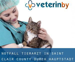 Notfall Tierarzt in Saint Clair County durch hauptstadt - Seite 1