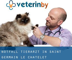 Notfall Tierarzt in Saint-Germain-le-Châtelet