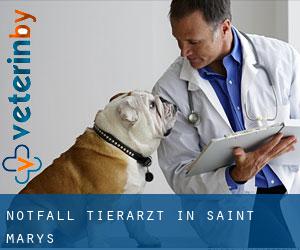 Notfall Tierarzt in Saint Mary's