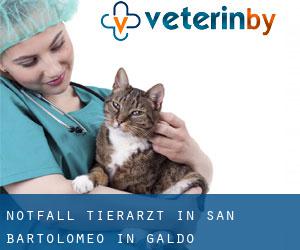 Notfall Tierarzt in San Bartolomeo in Galdo