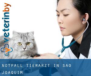 Notfall Tierarzt in São Joaquim
