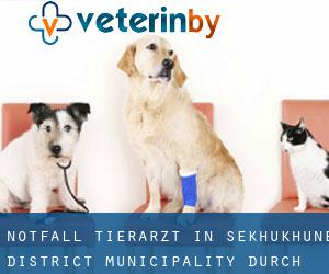 Notfall Tierarzt in Sekhukhune District Municipality durch gemeinde - Seite 1