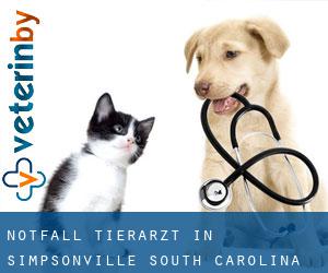 Notfall Tierarzt in Simpsonville (South Carolina)