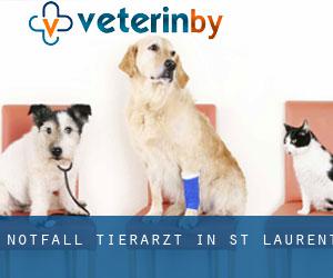 Notfall Tierarzt in St. Laurent