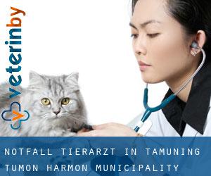 Notfall Tierarzt in Tamuning-Tumon-Harmon Municipality