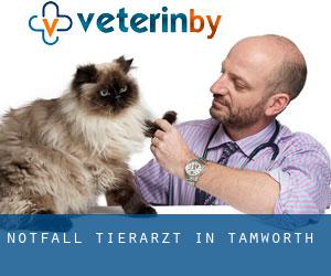 Notfall Tierarzt in Tamworth
