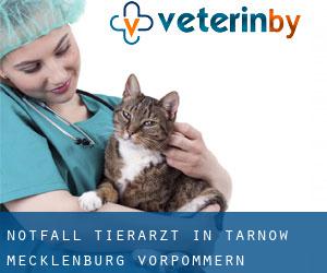 Notfall Tierarzt in Tarnow (Mecklenburg-Vorpommern)