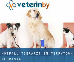 Notfall Tierarzt in Terrytown (Nebraska) Notfall Tierarzt in Terrytown (Nebraska)
