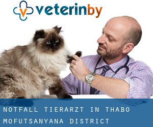 Notfall Tierarzt in Thabo Mofutsanyana District Municipality