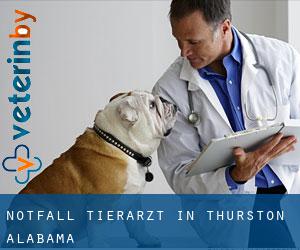 Notfall Tierarzt in Thurston (Alabama)