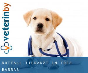 Notfall Tierarzt in Três Barras