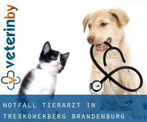 Notfall Tierarzt in Treskowerberg (Brandenburg)