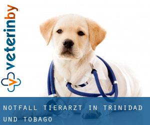 Notfall Tierarzt in Trinidad und Tobago Notfall Tierarzt in Trinidad und Tobago