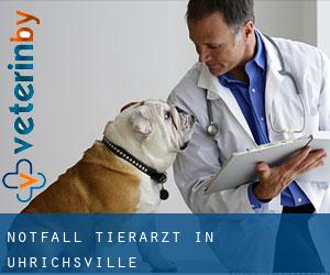 Notfall Tierarzt in Uhrichsville