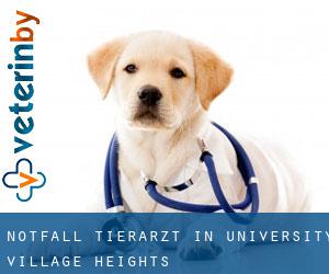 Notfall Tierarzt in University Village Heights