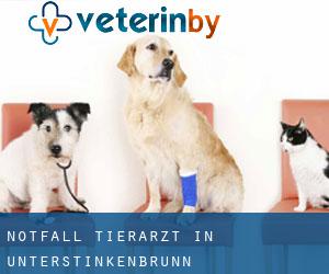 Notfall Tierarzt in Unterstinkenbrunn