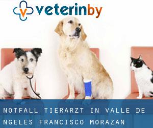 Notfall Tierarzt in Valle de Ángeles (Francisco Morazán)
