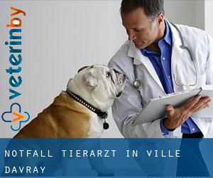 Notfall Tierarzt in Ville-d'Avray